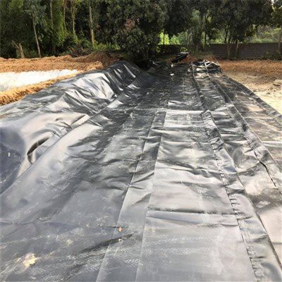 Rivestimento della diga in geomembrana